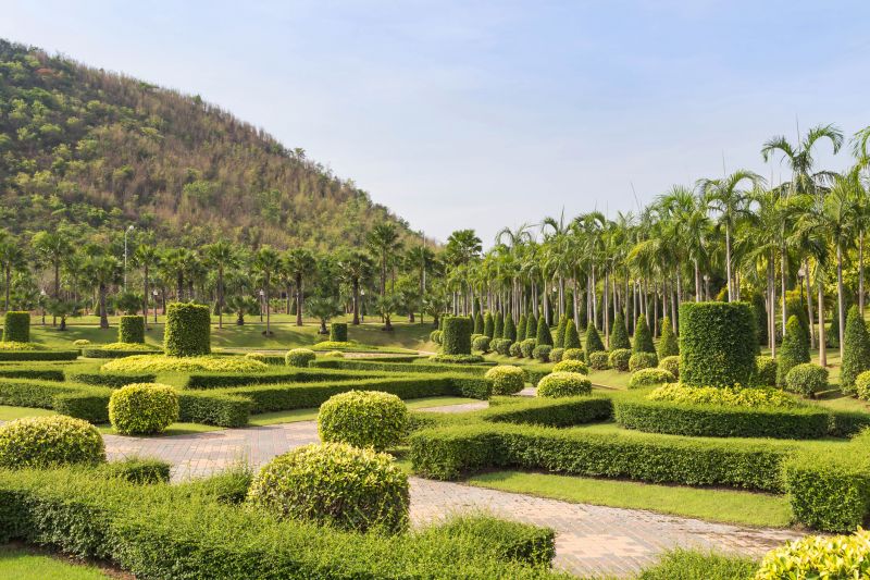 Landscape Tree Shaping