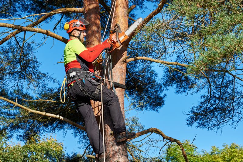 Safety Tree Trimming